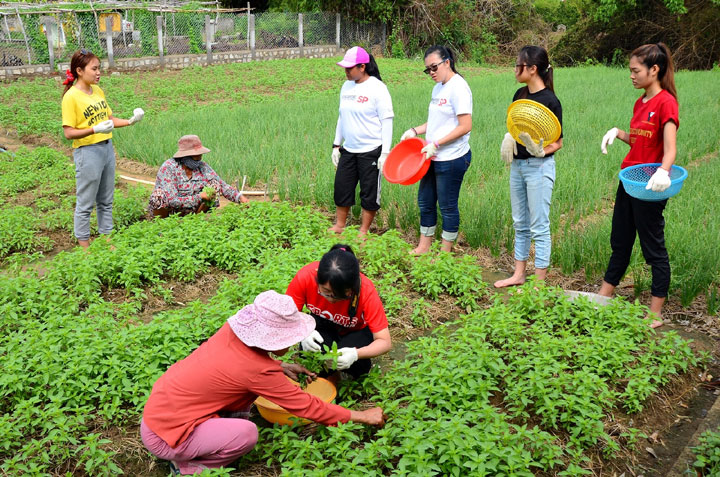 10 cach giu dinh duong cho trai cay va rau xanh