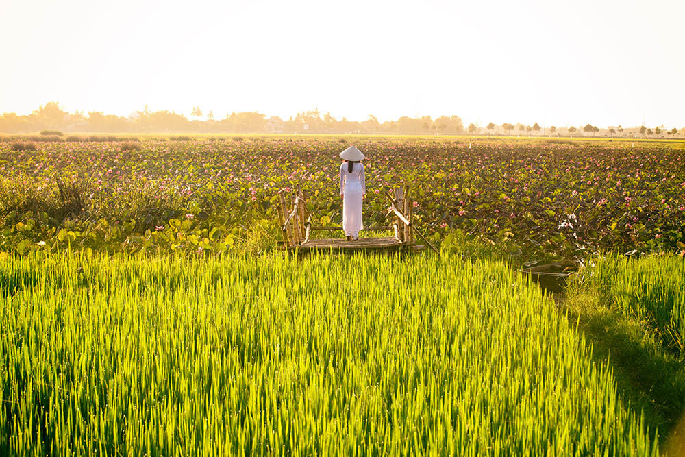 ta ao dai viet nam dep me hoac duoi ong kinh nhiep anh gia phap