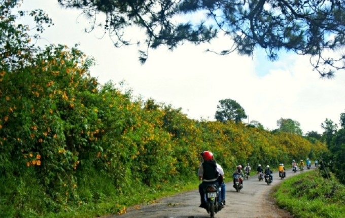 thang 10 di da lat ngam thien duong hoa da quy khoe sac