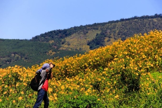 thang 10 di da lat ngam thien duong hoa da quy khoe sac
