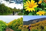 thang 10 di da lat ngam thien duong hoa da quy khoe sac