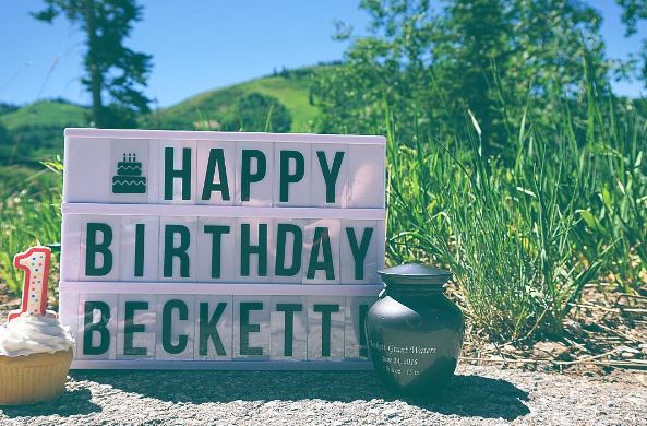 trai tim biet bao nguoi nhu that lai khi biet duoc hu tro cot o canh be gai la cua ai