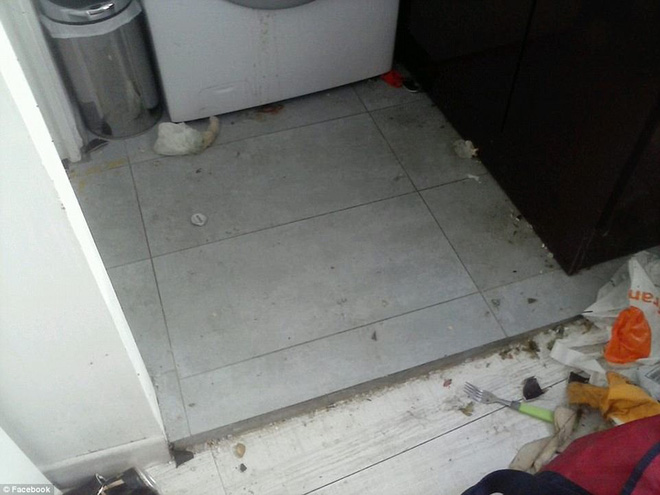 cho thue nha airbnb co gai tre bang hoang khi duoc tra lai nha voi canh tuong ban nhu bai rac