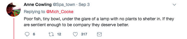 ky la khach san cho thue ca vang giup xoa diu nhung tam hon co don thue phong mot minh