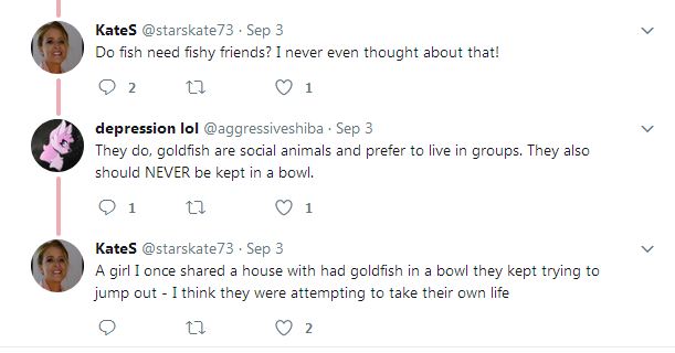 ky la khach san cho thue ca vang giup xoa diu nhung tam hon co don thue phong mot minh