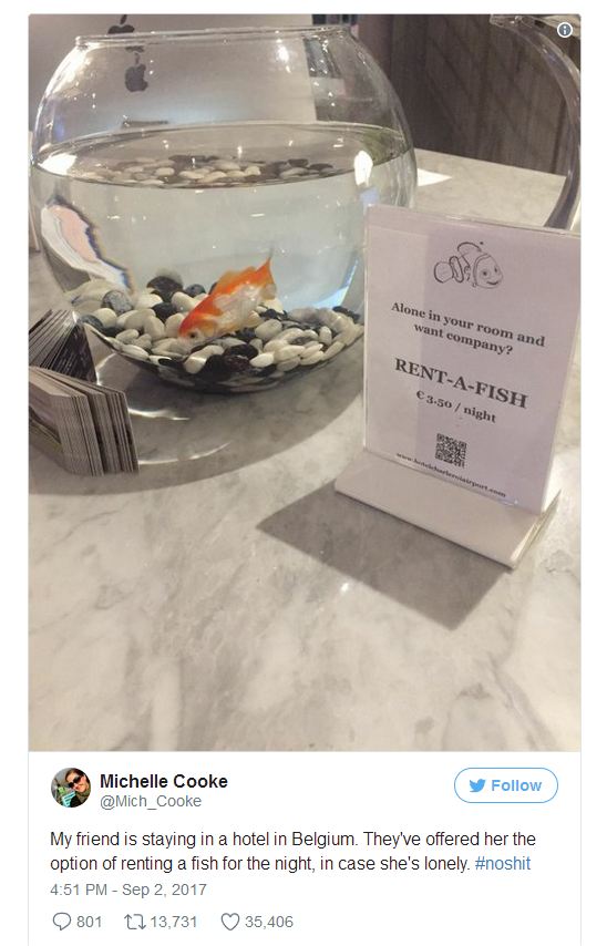 ky la khach san cho thue ca vang giup xoa diu nhung tam hon co don thue phong mot minh