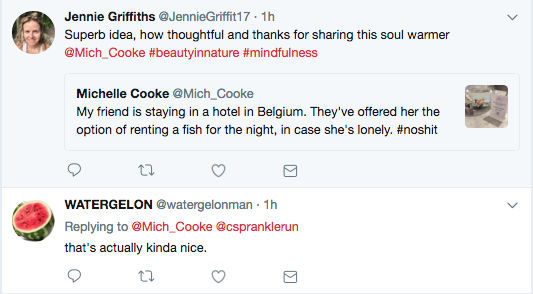 ky la khach san cho thue ca vang giup xoa diu nhung tam hon co don thue phong mot minh