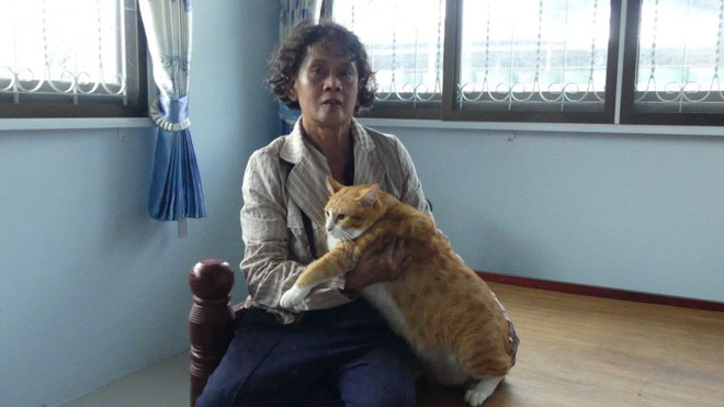 len vao trong nha con tran nuot gon chu meo cung truoc su ngo ngang cua chu