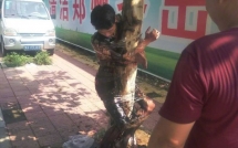 sau dam cuoi chu re bi bat troi chat vao than cay hung du trung ga dau an do len nguoi
