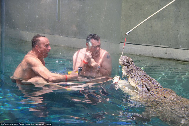 nhieu du khach chi tien trieu de trai nghiem cam giac manh doi mat voi ca sau an thit nguoi dai 5m