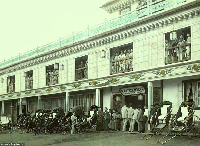 cuoc song cua cac co gai ban hoa nhat ban thoi xua phai giam minh trong long go o khu nha tho rong 81000m2