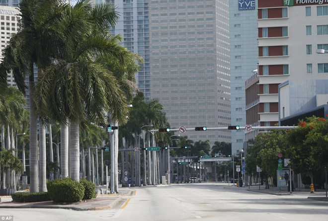 florida vang ve la thuong trong cuoc so tan lon nhat trong lich su my vi sieu bao quai vat irma