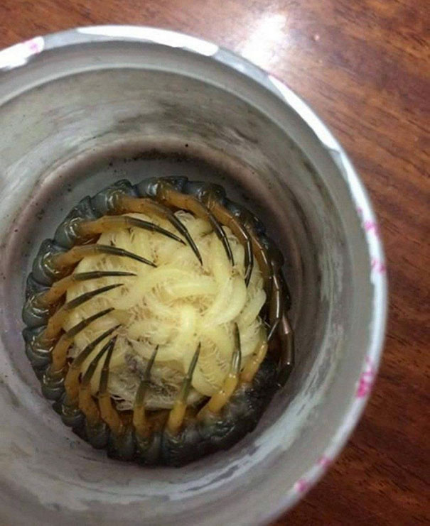 19 khoanh khac thien nhien dang so nhu gap phai co hon