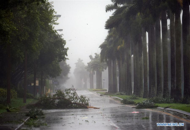 sieu bao quai vat irma tan cong du doi florida choi voi trong bien nuoc