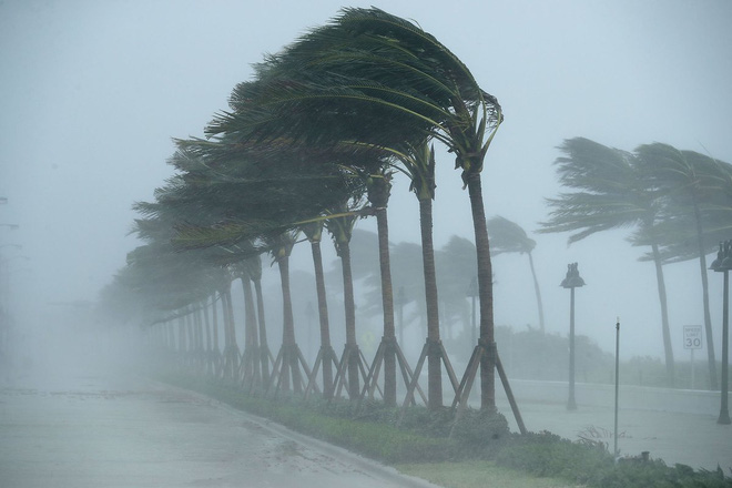 sieu bao quai vat irma tan cong du doi florida choi voi trong bien nuoc