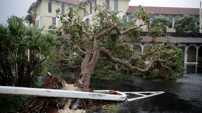 sieu bao quai vat irma tan cong du doi florida choi voi trong bien nuoc