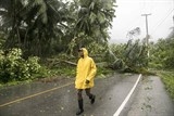 sieu bao irma tiep tuc tan pha nuoc my khien 28 nguoi chet