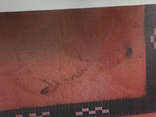 bi ham hiep va dam trong thuong nu du khach nguoi anh keu cuu tren facebook