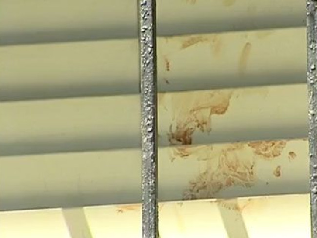 bi ham hiep va dam trong thuong nu du khach nguoi anh keu cuu tren facebook