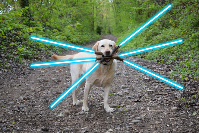 chu cho ngao ngo tro thanh nan nhan cua cac thanh che anh