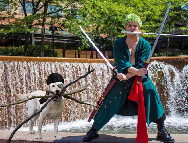 chu cho ngao ngo tro thanh nan nhan cua cac thanh che anh