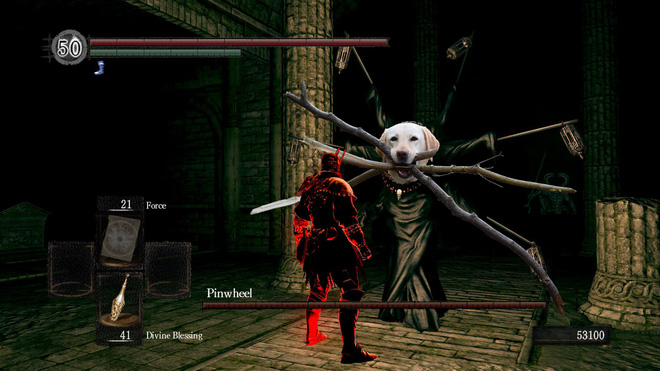 chu cho ngao ngo tro thanh nan nhan cua cac thanh che anh