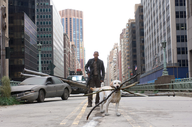 chu cho ngao ngo tro thanh nan nhan cua cac thanh che anh