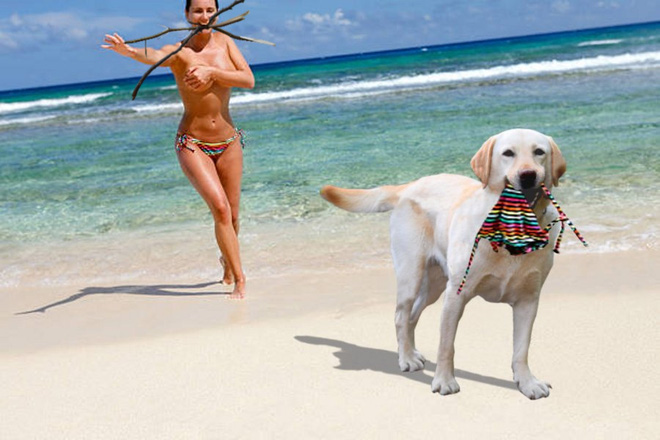 chu cho ngao ngo tro thanh nan nhan cua cac thanh che anh