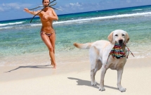 chu cho ngao ngo tro thanh nan nhan cua cac thanh che anh