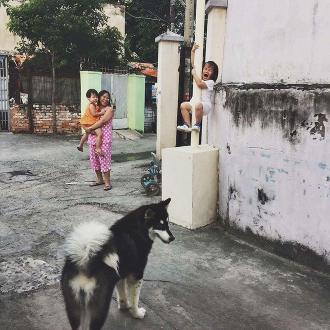 co be la khoc treo len cot vi so cho khoanh khac gay bao mang xa hoi viet