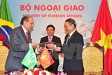 viet nam brazil phan dau nang kim ngach hai chieu len 10 ty usd