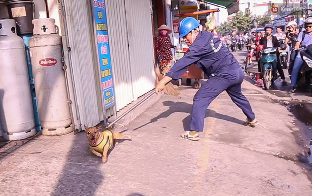 truong tram phong chong dich va kiem dich dong vat co nguoi cam dao ham doa ruot duoi anh em trong doi san bat de doi lai cho