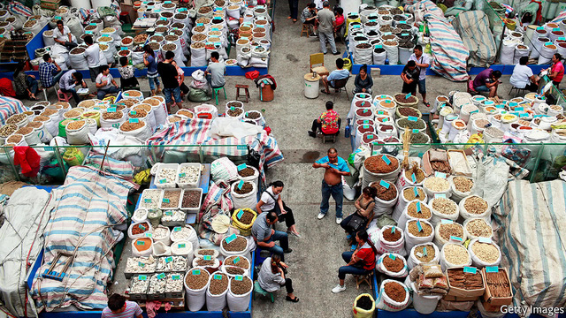 thi truong thuoc dong y trung quoc bung no vi dau