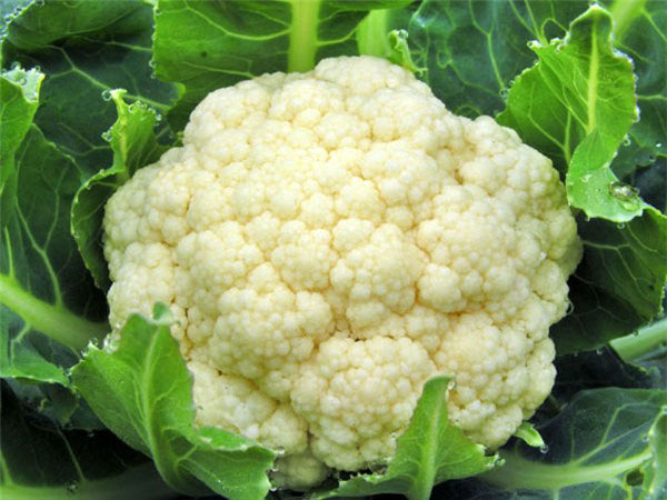 hay xem tuyet chieu tach bong cai trang to dung thanh mieng vua an chi bang 5 nhat dao