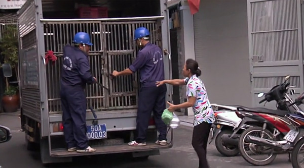 6 thac mac ve chuyen bat cho tha rong va loi giai dap hut nghin like