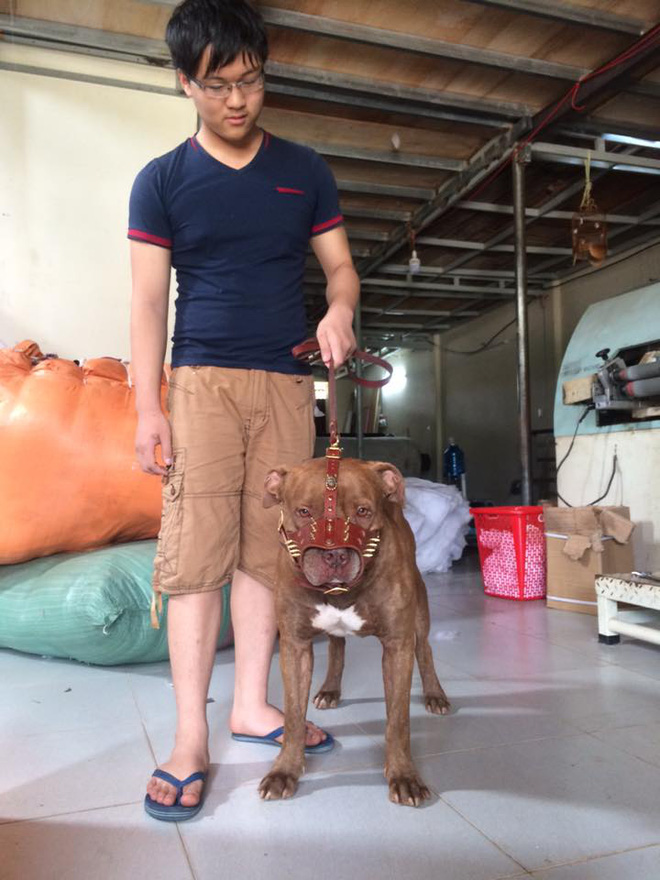 6 thac mac ve chuyen bat cho tha rong va loi giai dap hut nghin like