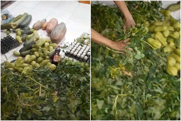 vu chan bat xe cho rau cu qua thoi rua vao truong tieu hoc trong bua an co gao kem chat luong