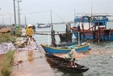 nghe vot vang trang tren bien thu nhap cao hon danh bat ca