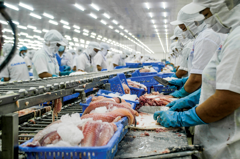 bi tang thue ca tra xuat khau hep cua vao my