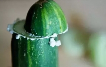 truoc khi an dua leo nho phai cha cha that manh tay den khi thay sui bot the nay