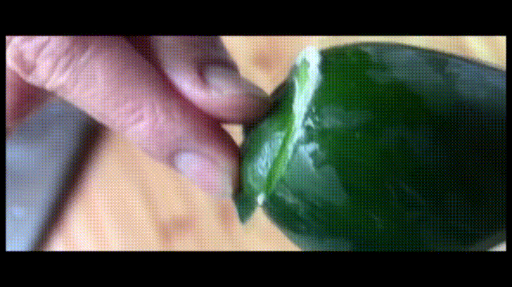 truoc khi an dua leo nho phai cha cha that manh tay den khi thay sui bot the nay