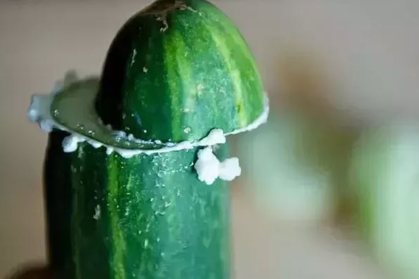 truoc khi an dua leo nho phai cha cha that manh tay den khi thay sui bot the nay