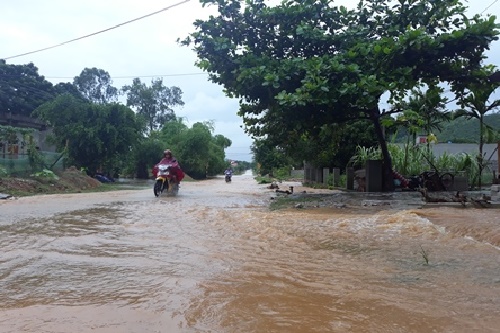 thanh hoa mua lon keo dai quoc lo 217b te liet