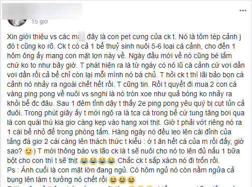 khi thu cung cua vo chong o chung nha tom chong nuoi xoi tai ca vang cua vo vo noi gian doa dem nau bot