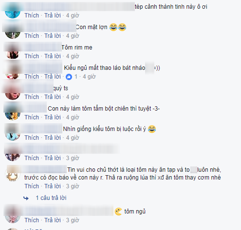 khi thu cung cua vo chong o chung nha tom chong nuoi xoi tai ca vang cua vo vo noi gian doa dem nau bot