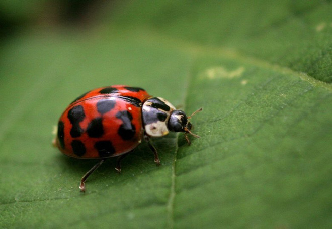 10 dieu thu vi ve dat nuoc trung quoc ma khong phai ai cung biet