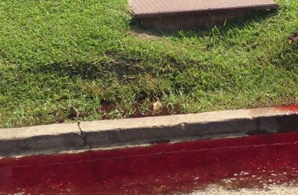 dong song mau hoa phooc mon chay ra tu nha tang le tua nhu tham canh trong phim kinh di