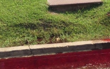 dong song mau hoa phooc mon chay ra tu nha tang le tua nhu tham canh trong phim kinh di