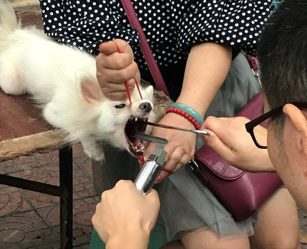gay mat trat tu nhieu chu cho bi bac si lang banh hong va cat day thanh quan giua cho