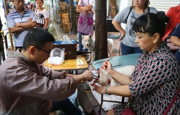 gay mat trat tu nhieu chu cho bi bac si lang banh hong va cat day thanh quan giua cho